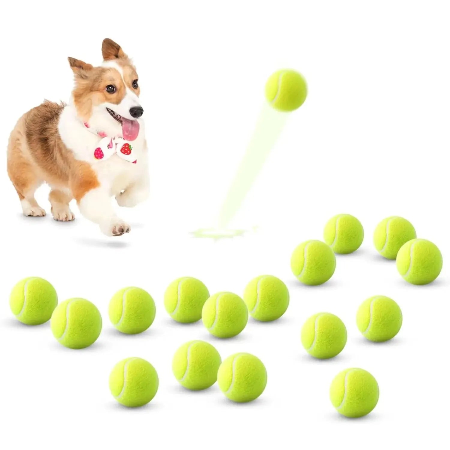 TennisTails™ – Spielball-Set für Hunde
