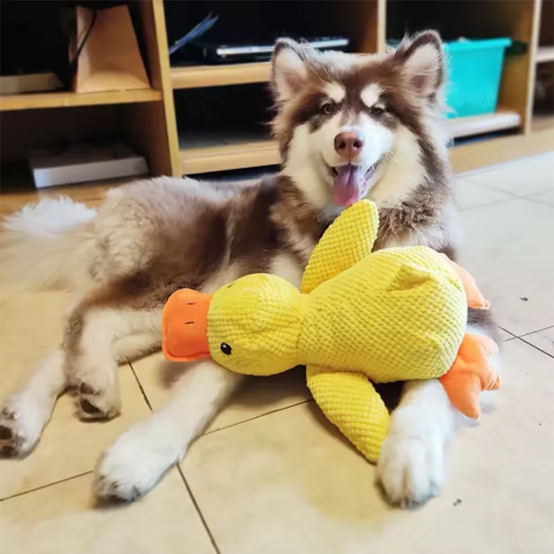 QuackBuddy  – Knisternde Stoffente für Hunde