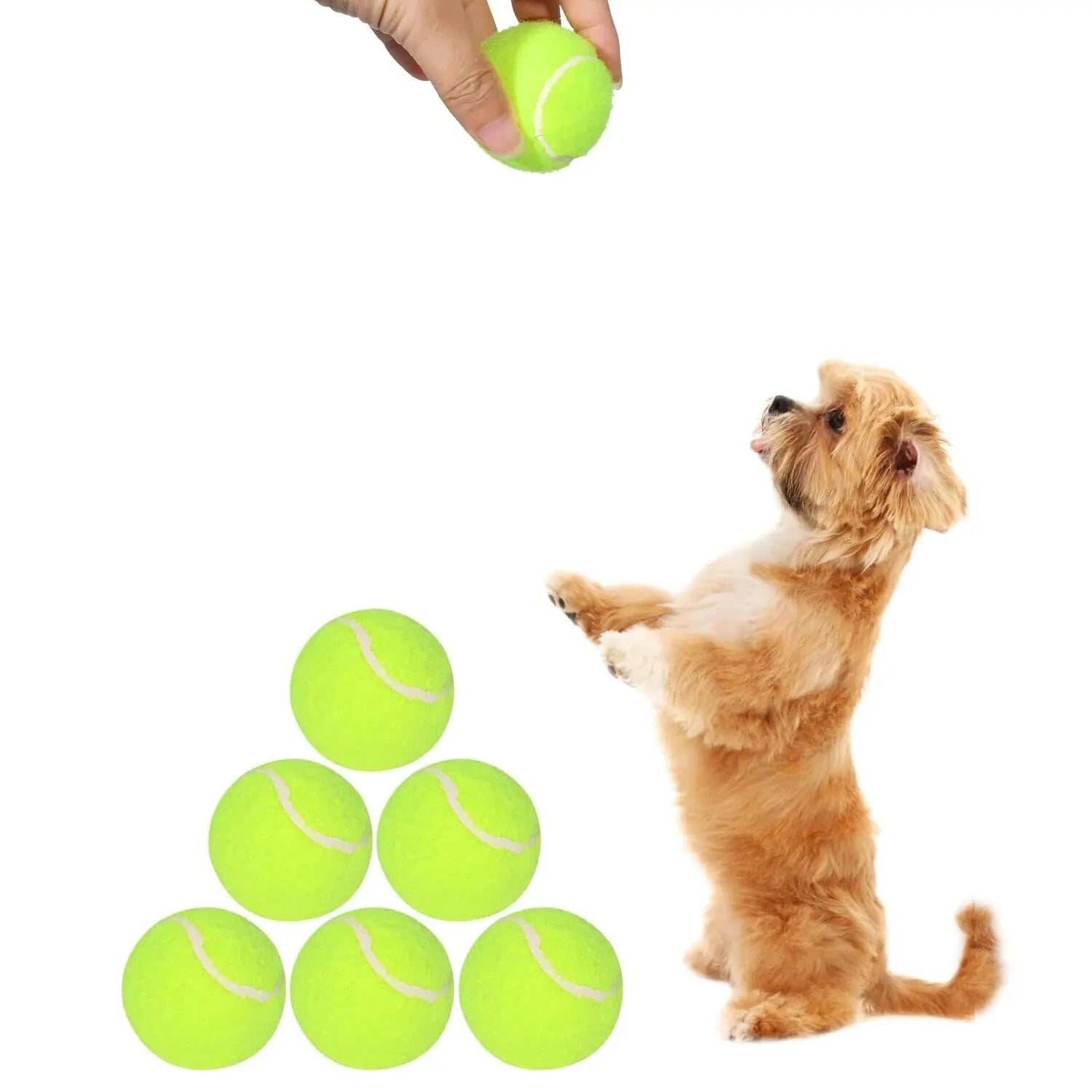 TennisTails™ – Spielball-Set für Hunde