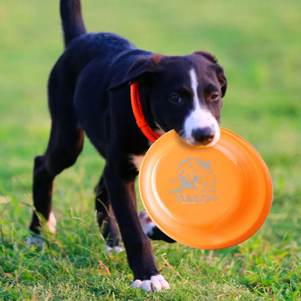 AeroDisc™ – Leichter Wurf-Frisbee für Hunde