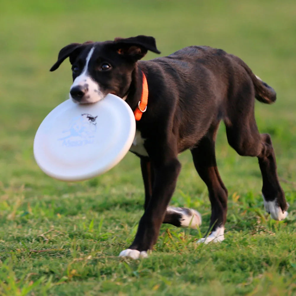 AeroDisc™ – Leichter Wurf-Frisbee für Hunde