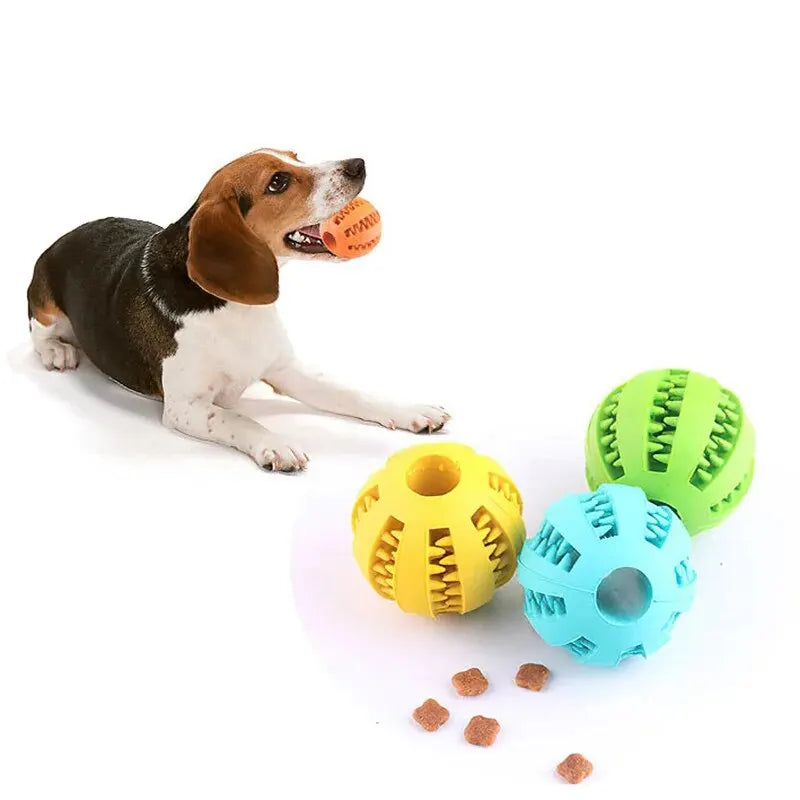 ChewClean™ – Snack-Dentalball für Hunde