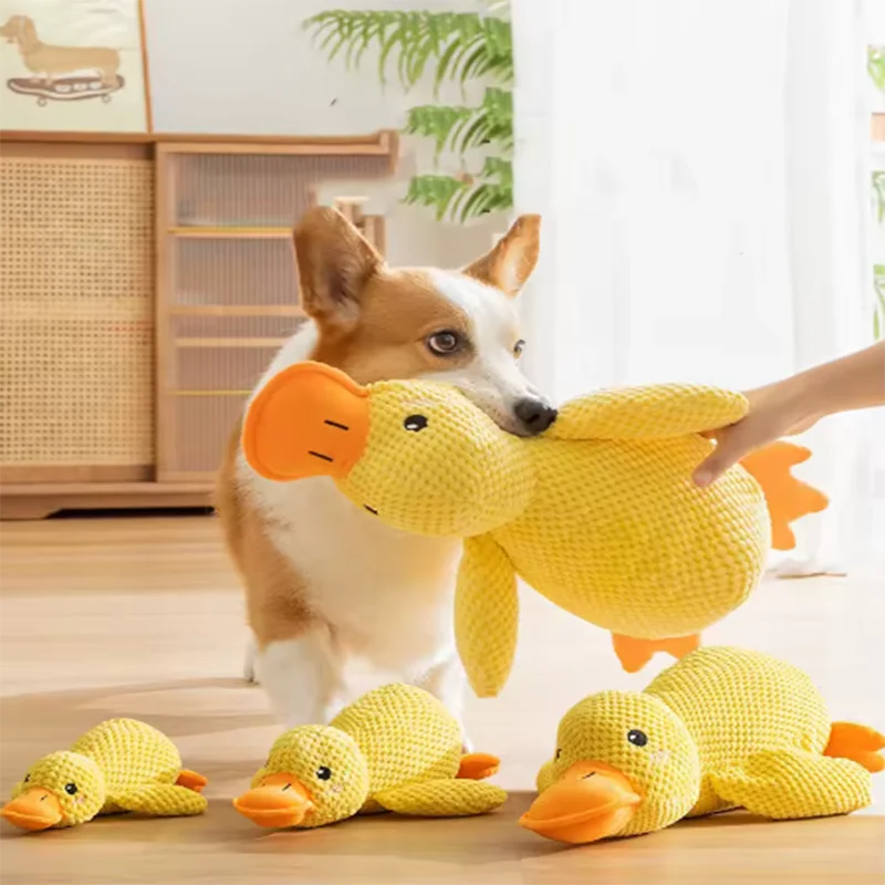 QuackBuddy  – Knisternde Stoffente für Hunde