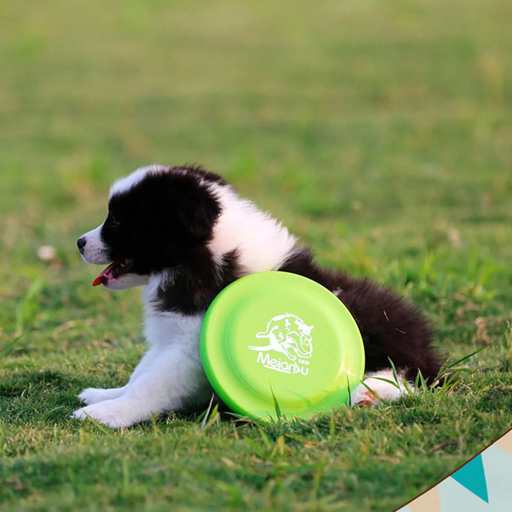 AeroDisc™ – Leichter Wurf-Frisbee für Hunde
